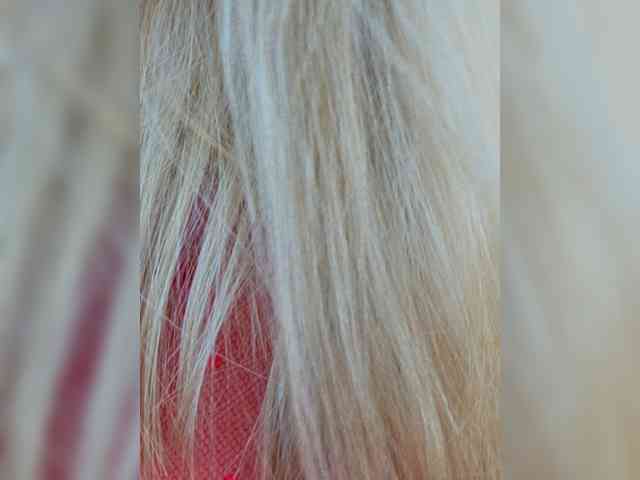 TerriRose