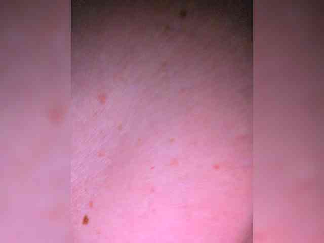 TerriRose