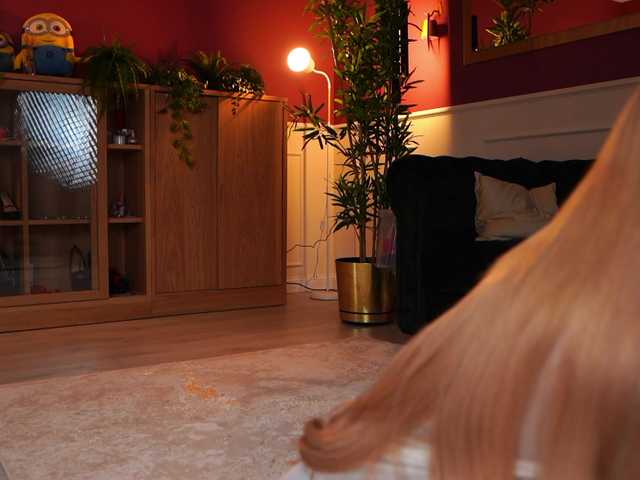 Sex chat gratuit in direct cu AshleysinnX pe BongaCams