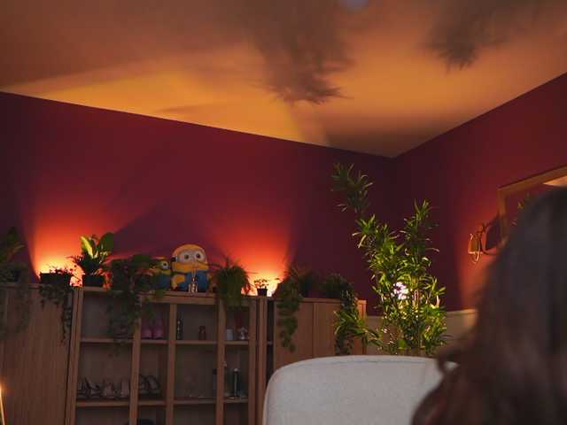 Sex chat gratuit in direct cu AshleysinnX pe BongaCams