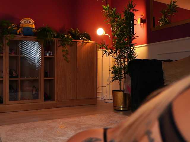 Sex chat gratuit in direct cu AshleysinnX pe BongaCams