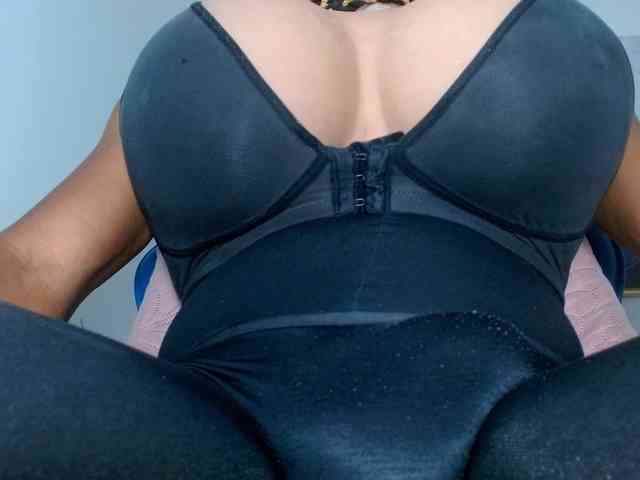paulabigcock Live Webcam on BongaCams