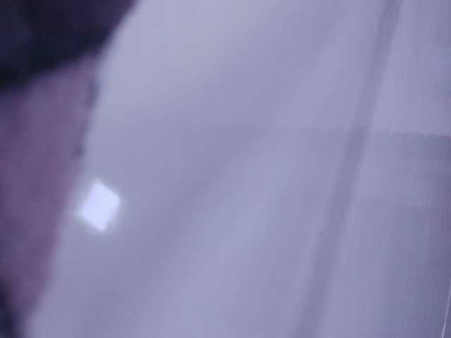 gabry-leone's BongaCams show and profile