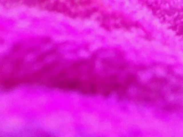 gabry-leone's BongaCams show and profile