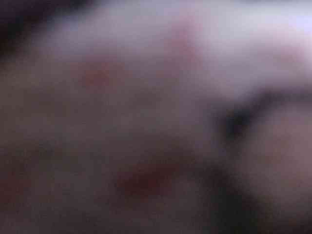 gabry-leone webcam