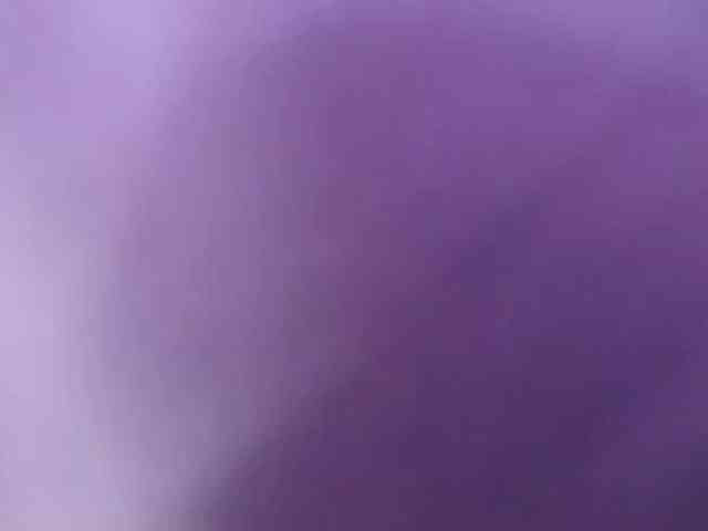 gabry-leone webcam