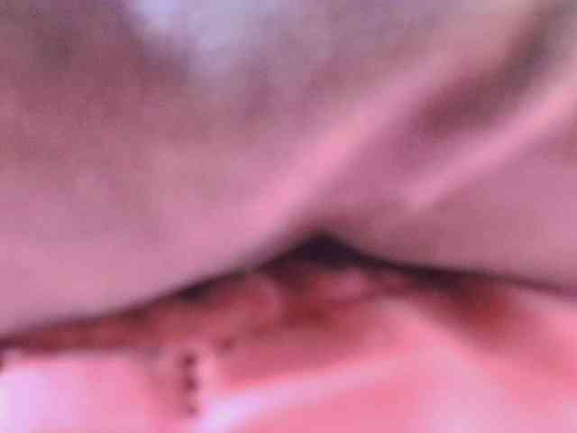 gabry-leone webcam