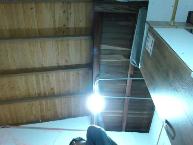 johanylatino