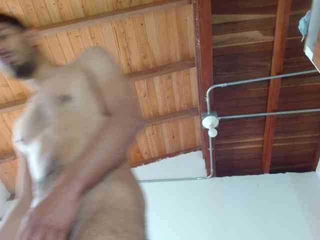 Johanylatino