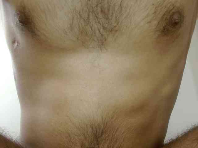 Johanylatino