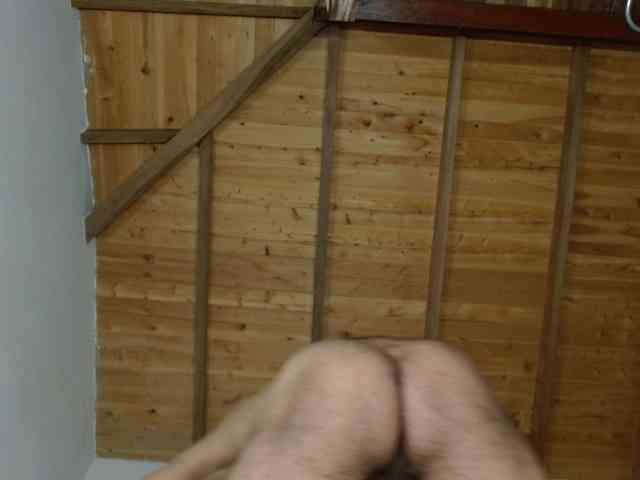 Johanylatino