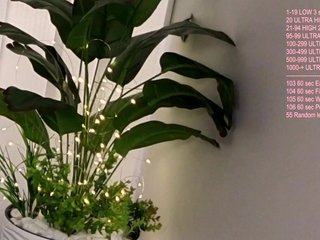 Vik-Love Porn Show