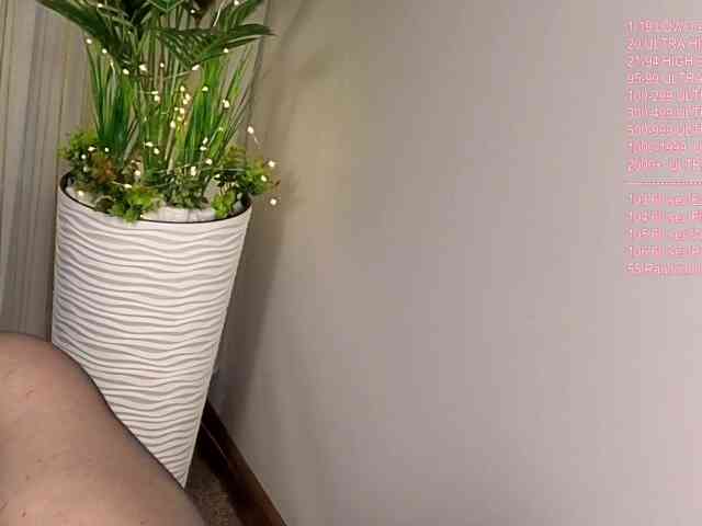 Vik-Love webcam