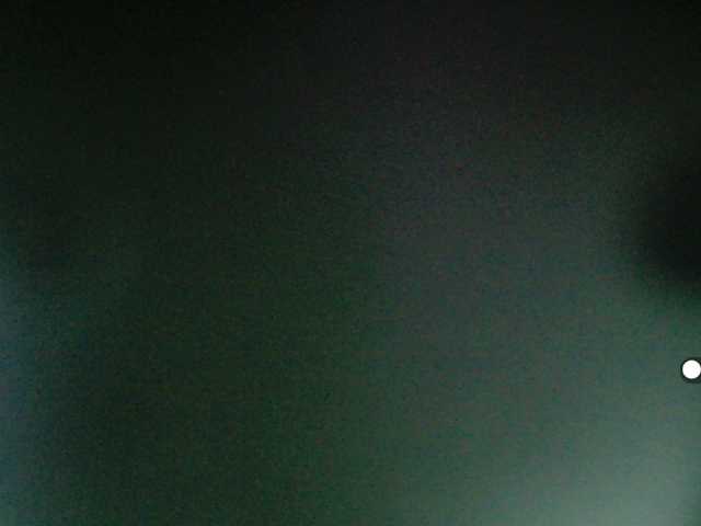 LilyBenet1
