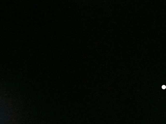 LilyBenet1