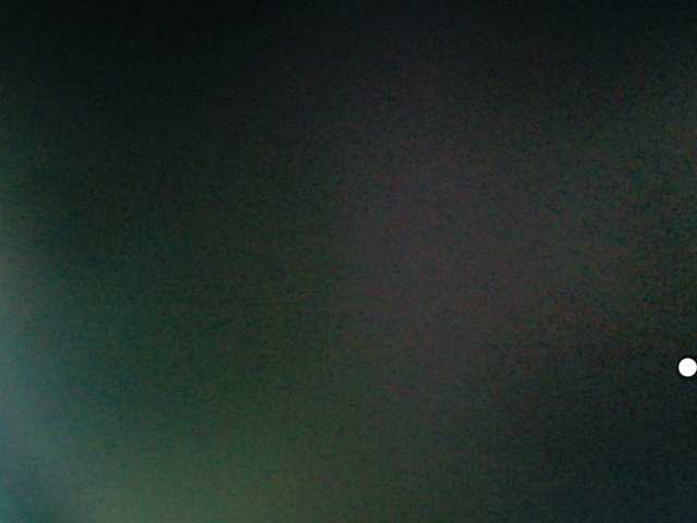 LilyBenet1