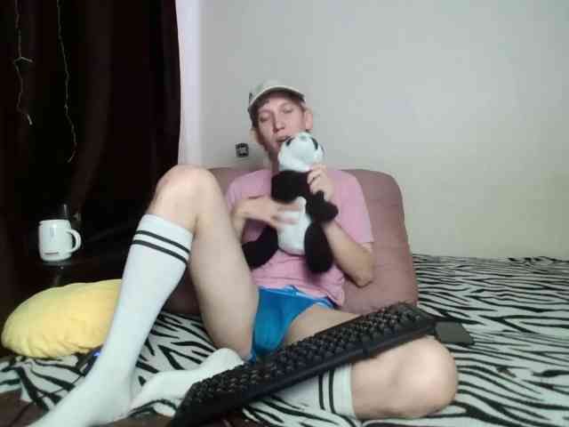 Alex-foxy