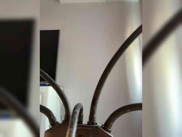 anyuta1212 webcam
