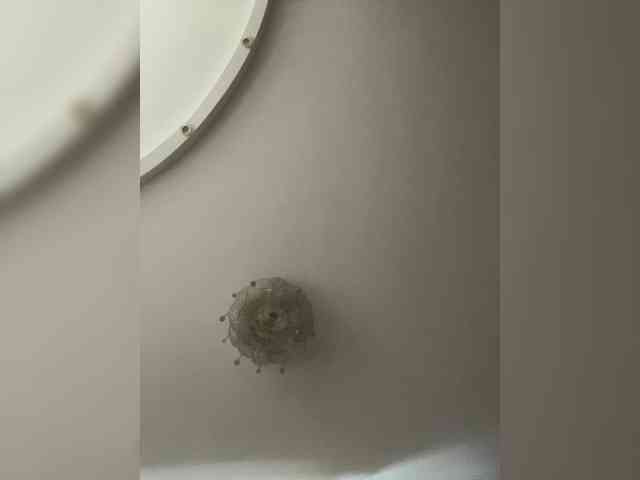 NadinKeddo webcam