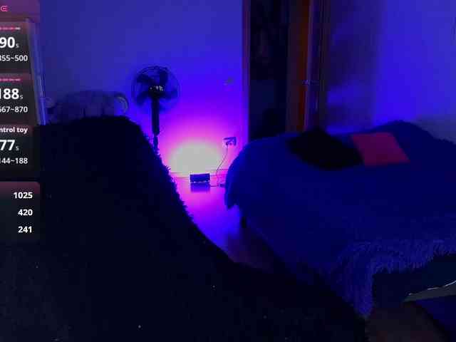 MilanaOmgReal webcam