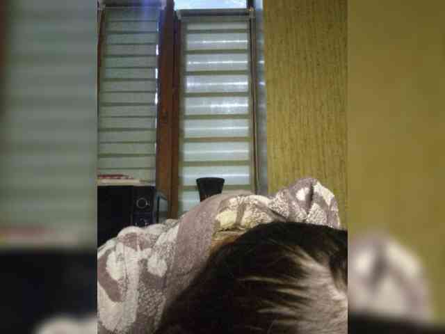 WOWLADY webcam