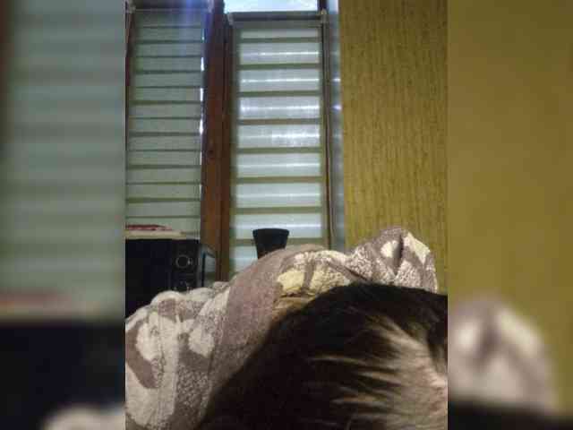 WOWLADY webcam