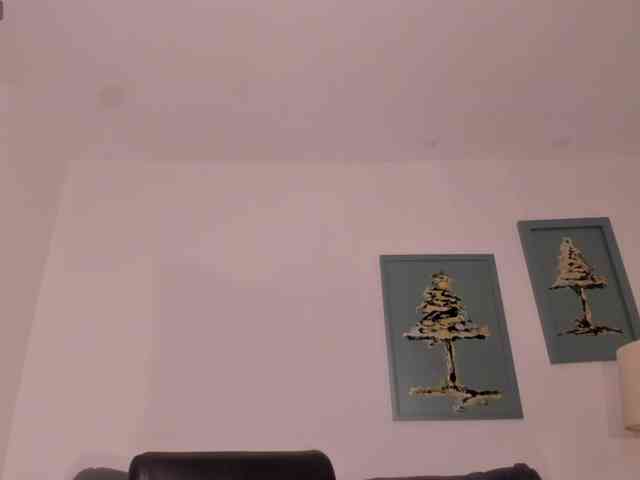 SunnyRiversX webcam