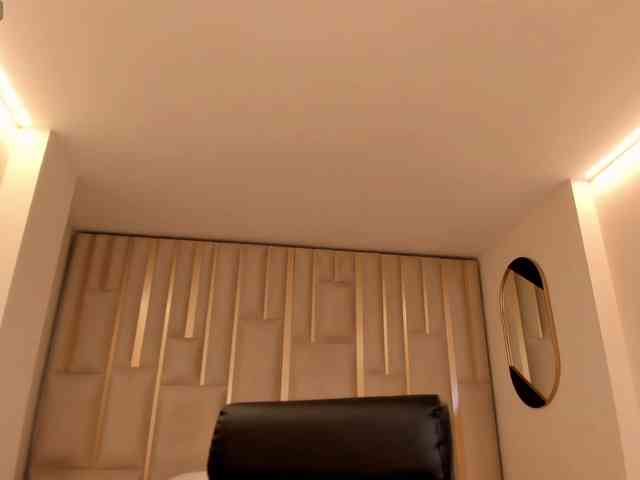 Modelo: SunnyRiversX