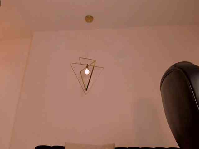 SunnyRiversX webcam