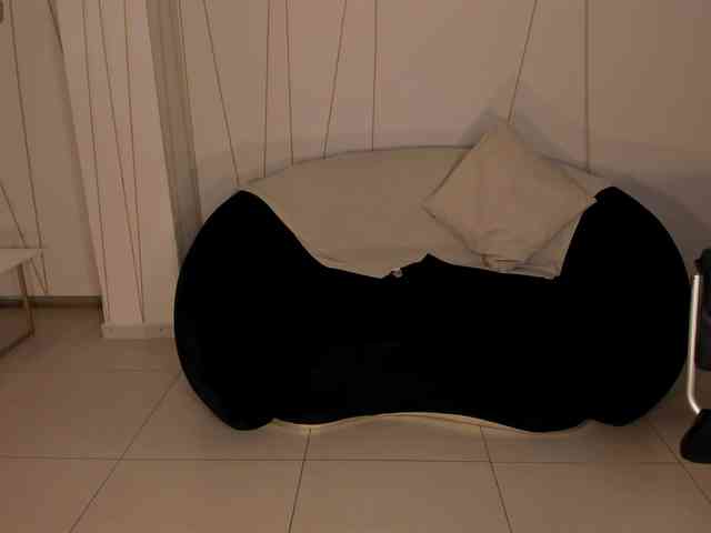 SunnyRiversX webcam