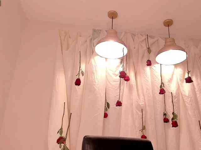 SunnyRiversX webcam