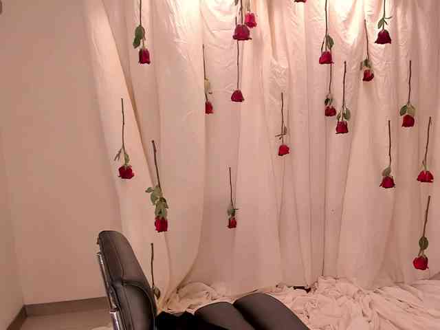 SunnyRiversX webcam