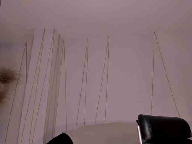 SunnyRiversX webcam
