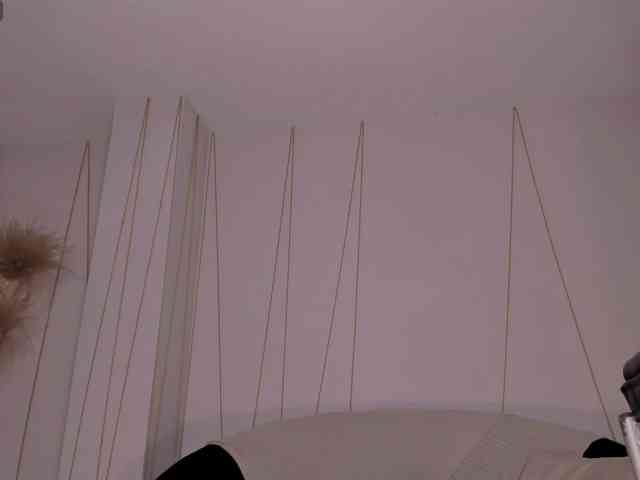 SunnyRiversX webcam