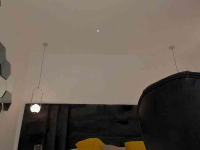 SunnyRiversX webcam