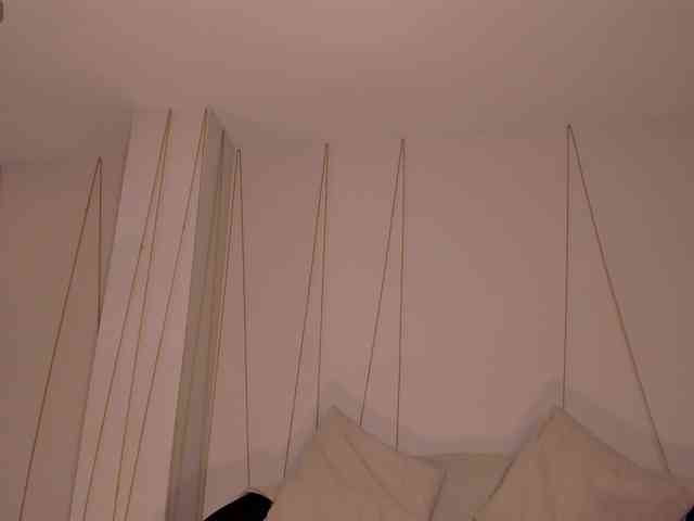 SunnyRiversX webcam