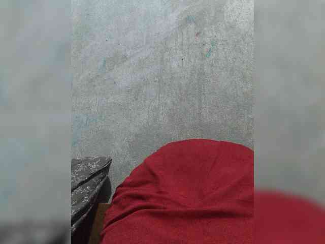 revive02 webcam