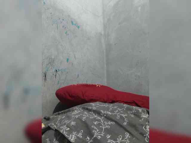revive02 webcam