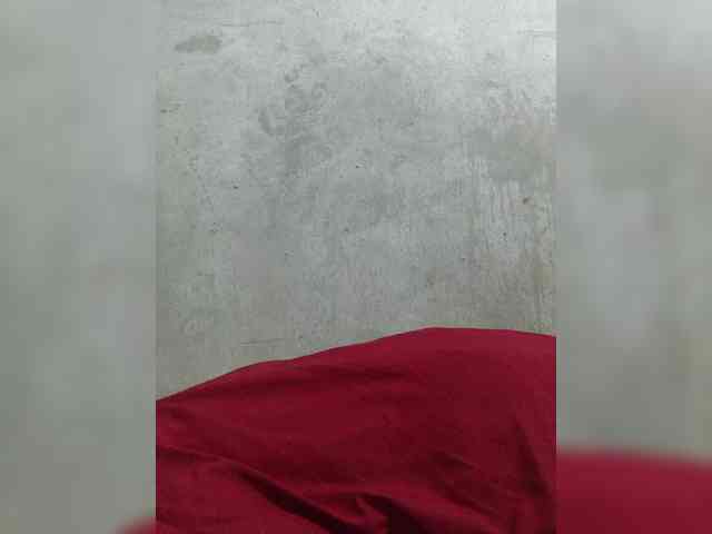 revive02 webcam