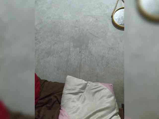 revive02 webcam
