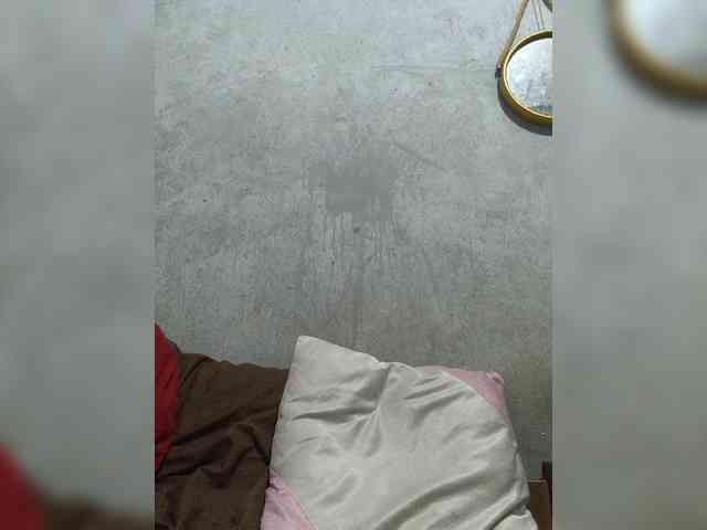 revive02 webcam