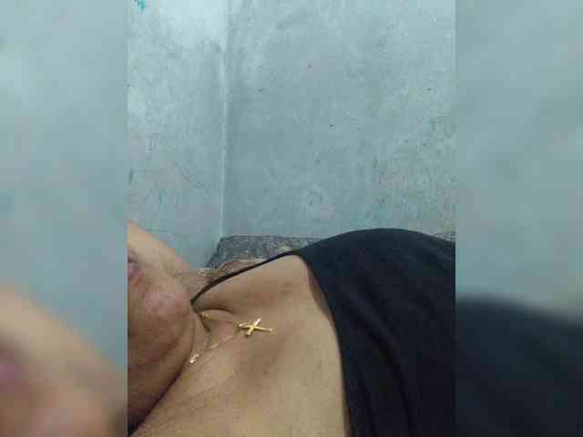 revive02 webcam
