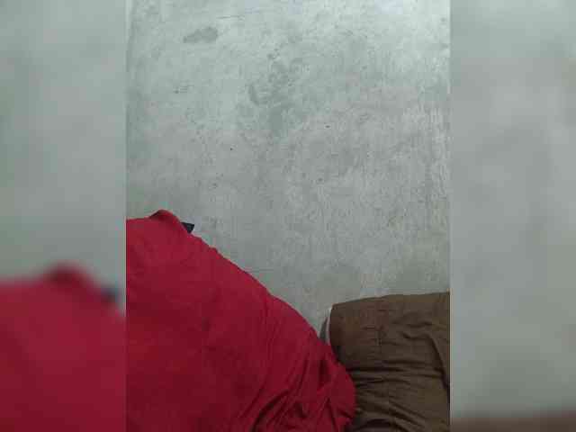 revive02 webcam
