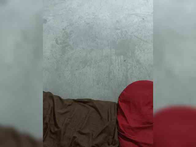 revive02 webcam