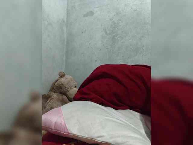 revive02 webcam