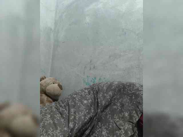 revive02 webcam