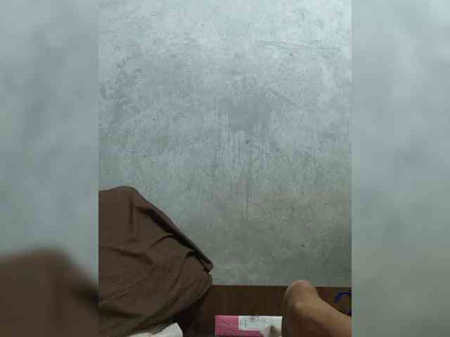 revive02 webcam