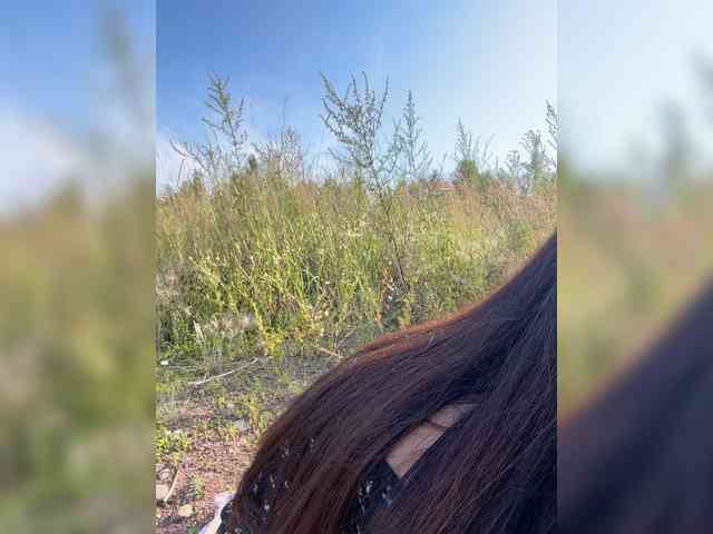 MiLaHHa