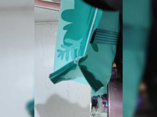 Preview of meliissavelez