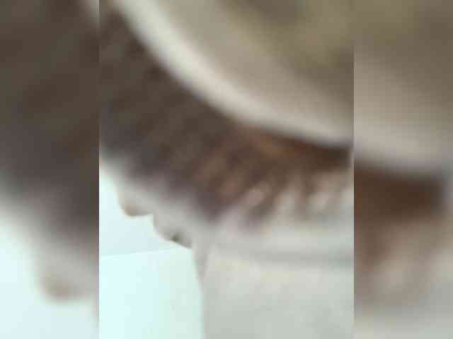 MeliissaVelez
